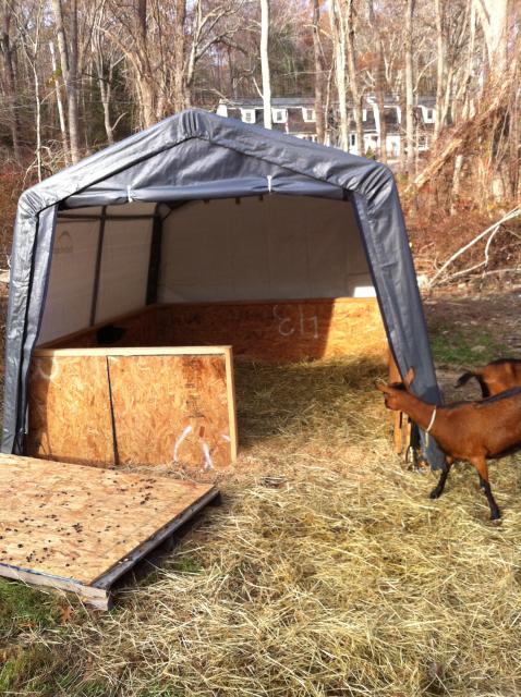 Pin Plastic Goat Shelters on Pinterest