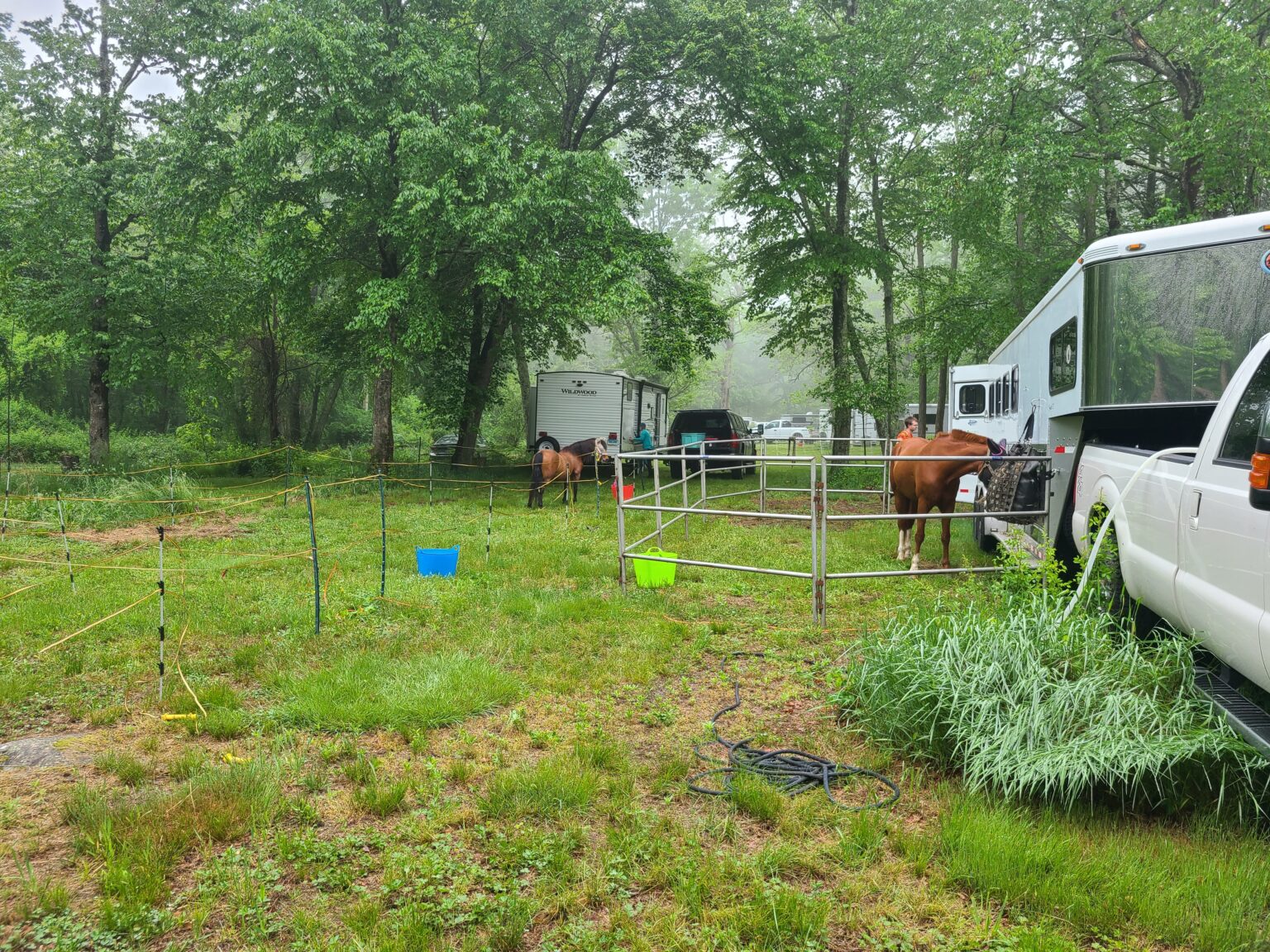 Sawyer Family Farm The story of our lives with horses