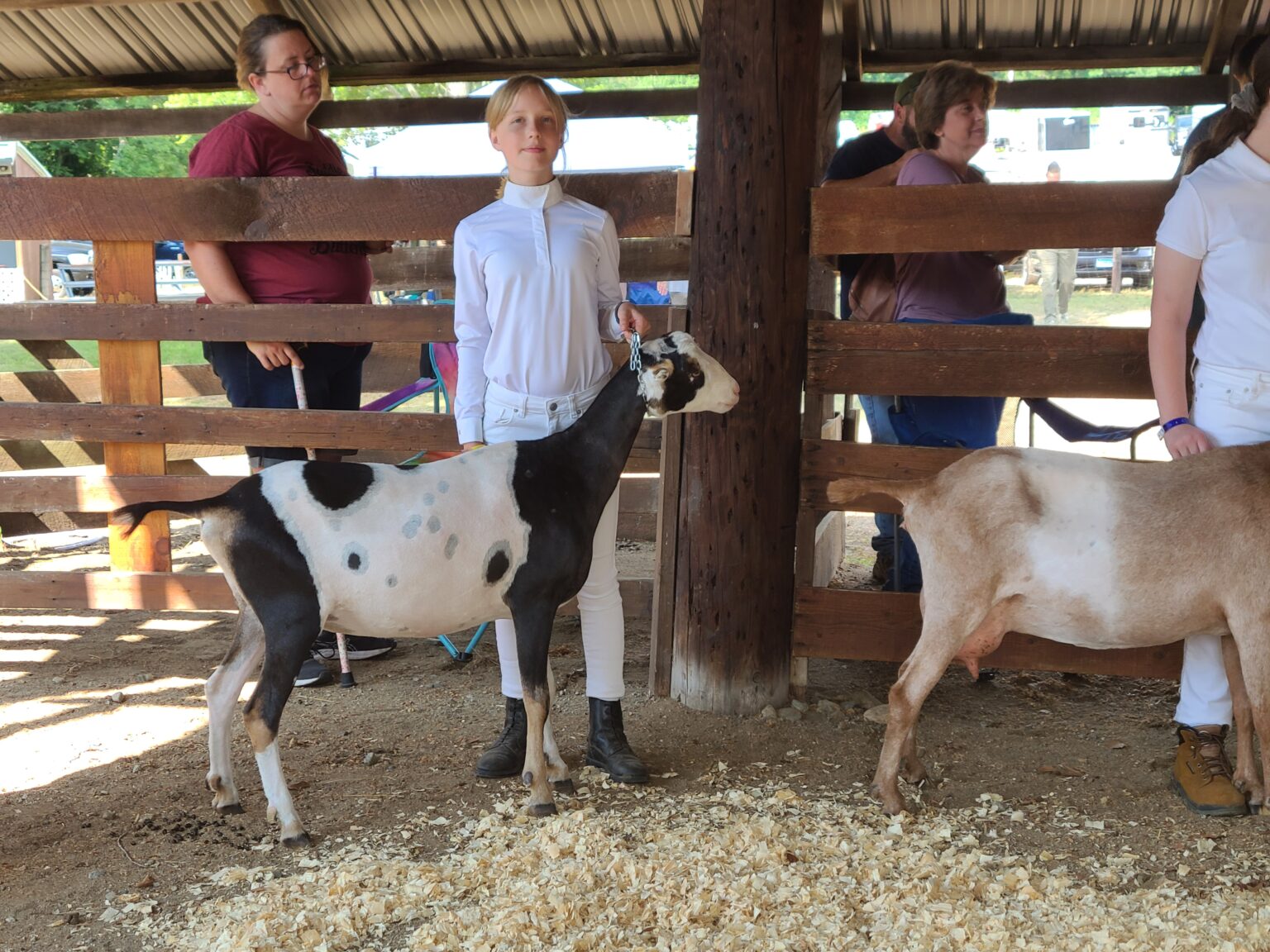 Sawyer Family Farm The story of our lives with horses