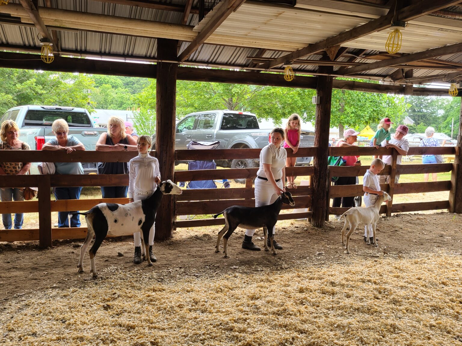Sawyer Family Farm The story of our lives with horses