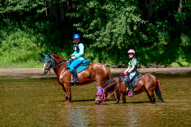 Pine Tree Endurance Ride and Tie 2022