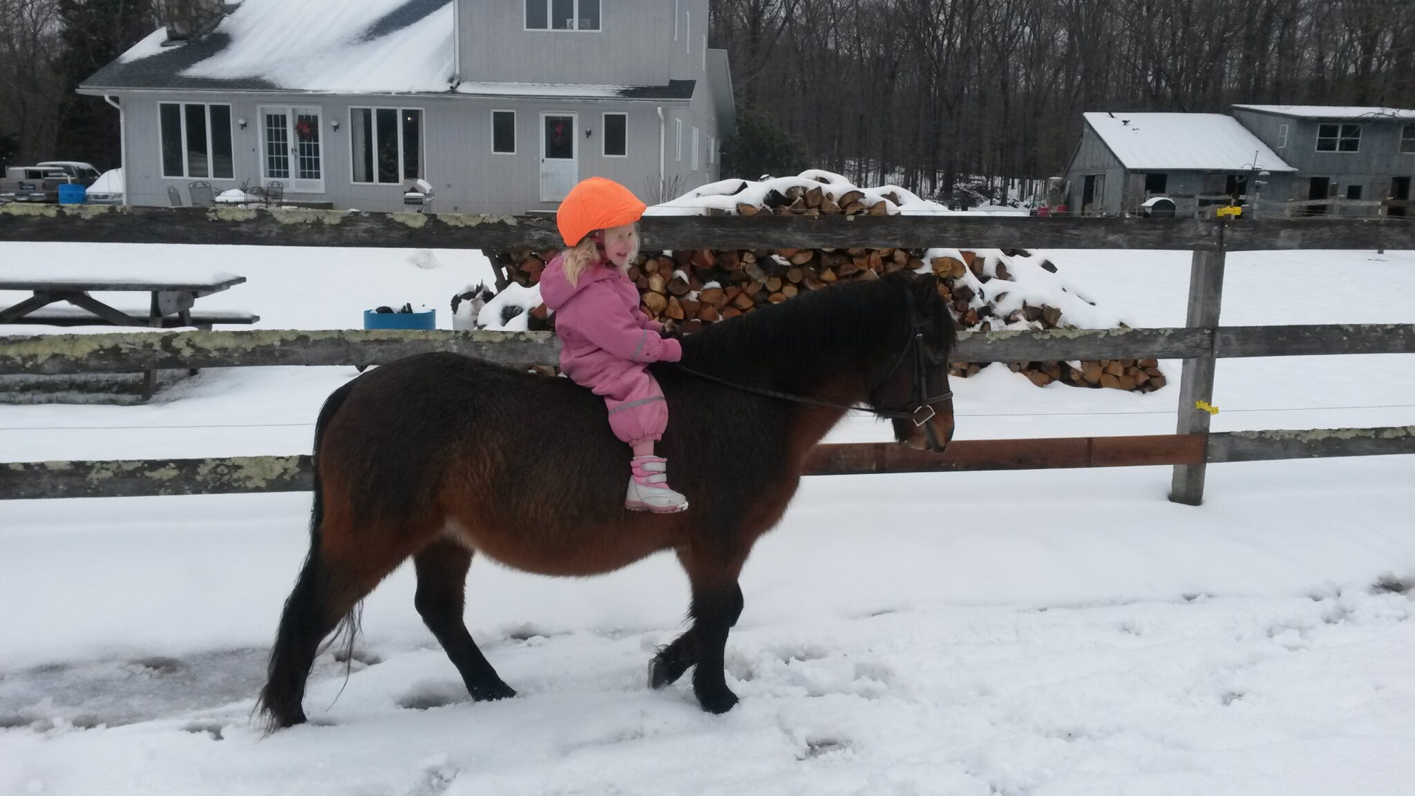 Sawyer Family Farm The story of our lives with horses